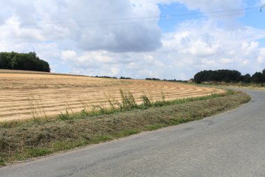 yere çizgi çizme keten alanlarında hasat