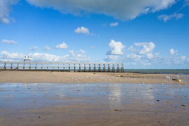 İskele duba luc sur mer