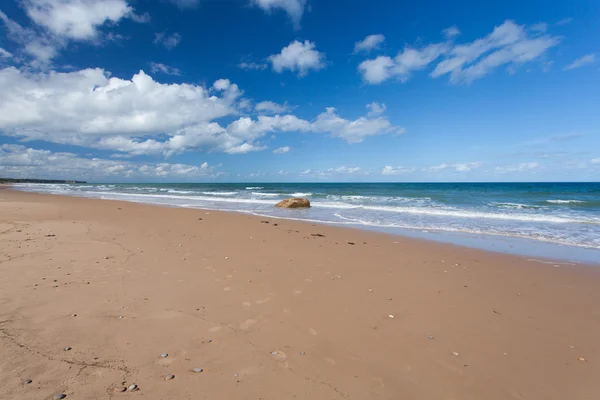 Arena de playa y dunas en Normandía — Foto de Stock