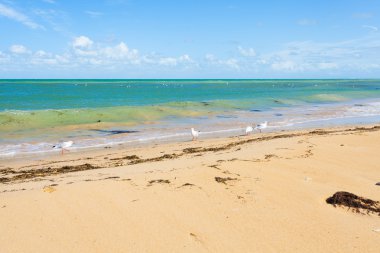 Courseulles sur mer plaj yaz