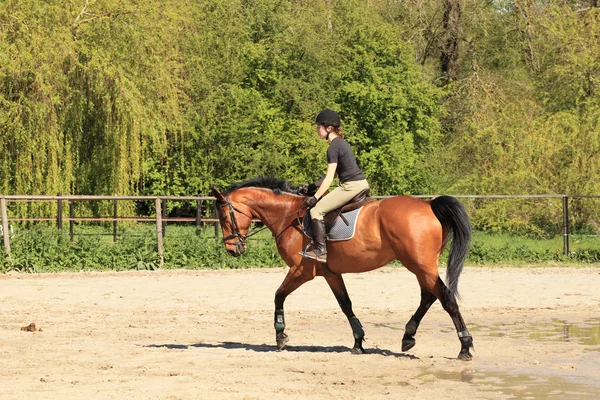 Beautiful equestrienne on brown horse in summer — Stock Photo, Image