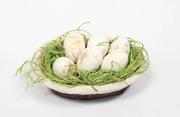 Beyaz zemin üzerinde biyolojik çiftlik kaz yumurtaları — Stok fotoğraf