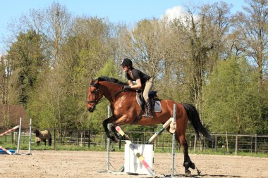 flores de color en acuarela mano pintada, aislado