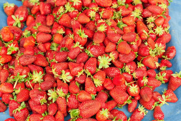 Exhibición de fresas en el mercado —  Fotos de Stock