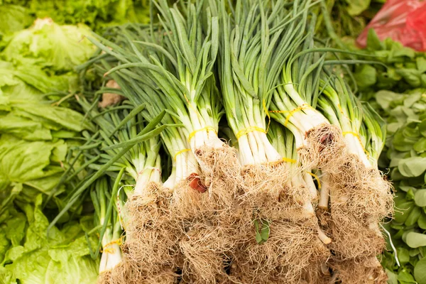 Bunch of onions in the market — Stock Photo, Image