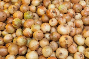 görüntü soğan piyasası