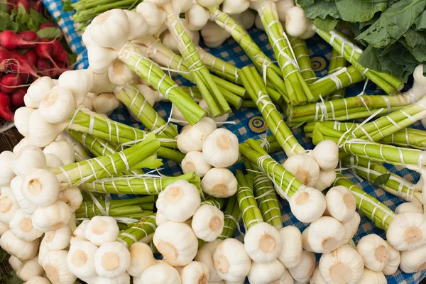 Young garlic bunch on the market — Stock Photo, Image