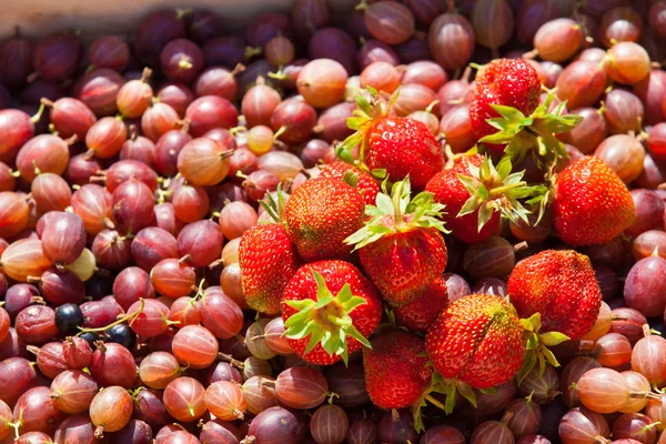 Gooseberries and strawberries in a basket — Stock Photo, Image