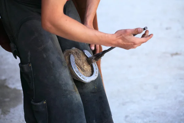 farrier на роботі