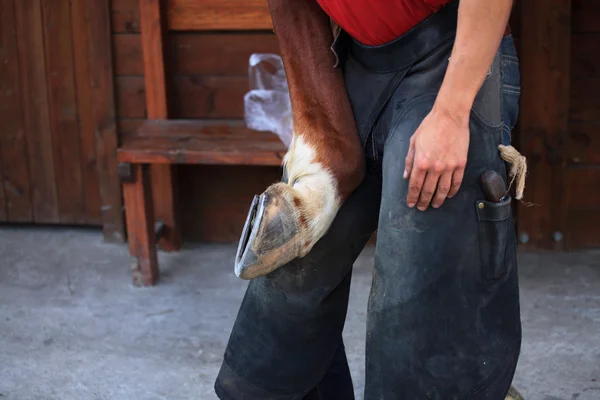 Farrier at work — Stock Photo, Image