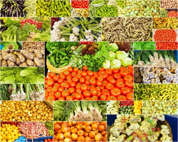 Kolekcja zdjęć warzyw — Zdjęcie stockowe