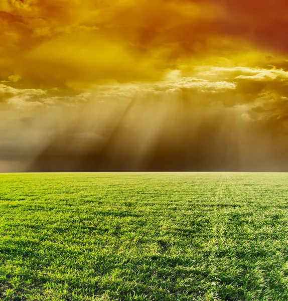 Dramatic sky and green field — Stock Photo, Image