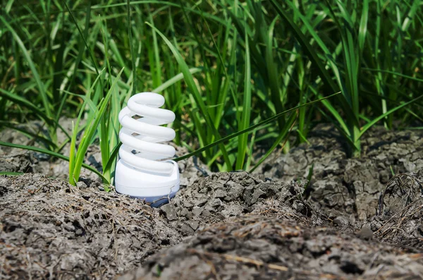 Lâmpada de luz entre a terra seca e grama verde — Fotografia de Stock