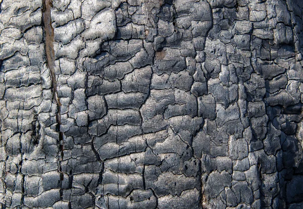 Burnt wood texture — Stock Photo, Image