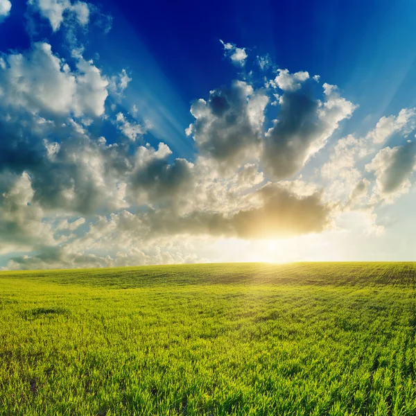 Buena puesta de sol sobre el campo verde — Foto de Stock