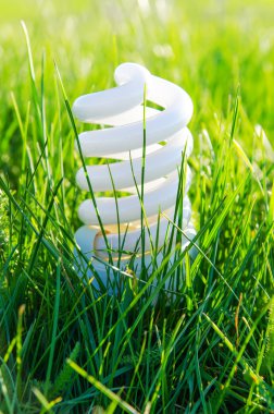 enerji tasarrufu lambası yeşil çimen