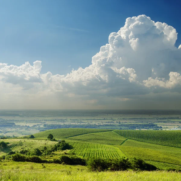 Grönt landskap i dimma under molnig himmel — Stockfoto