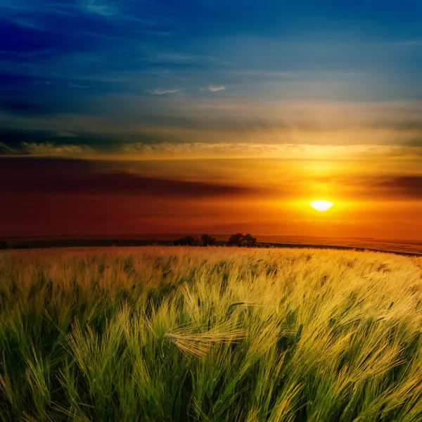 yeşil alan üzerinde kırmızı dramatik günbatımı