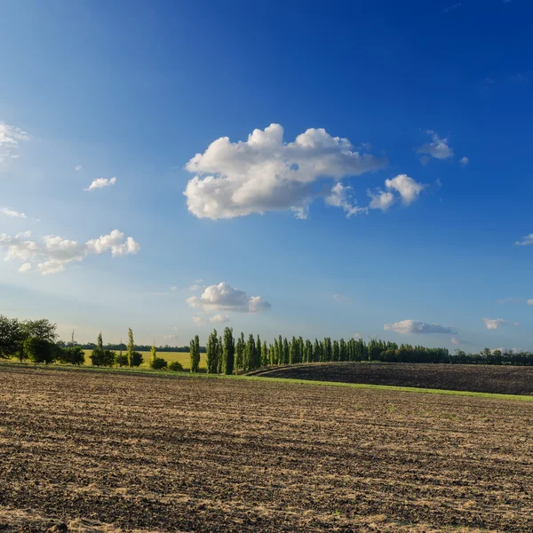 Bulutlu gökyüzü altında hasat sonra siyah alan — Stok fotoğraf