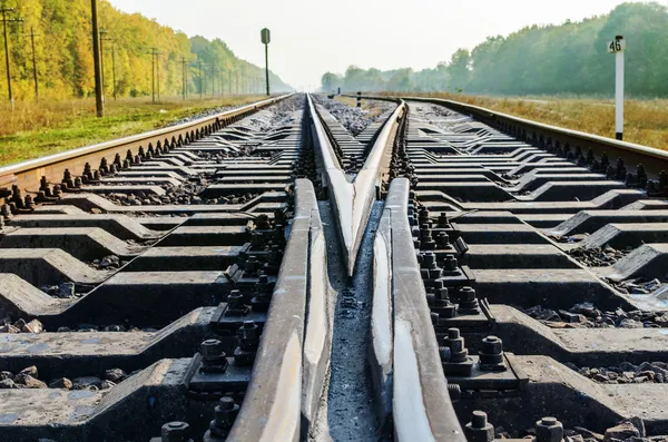 Colpo di incrocio ferroviario da vicino in autunno — Foto Stock