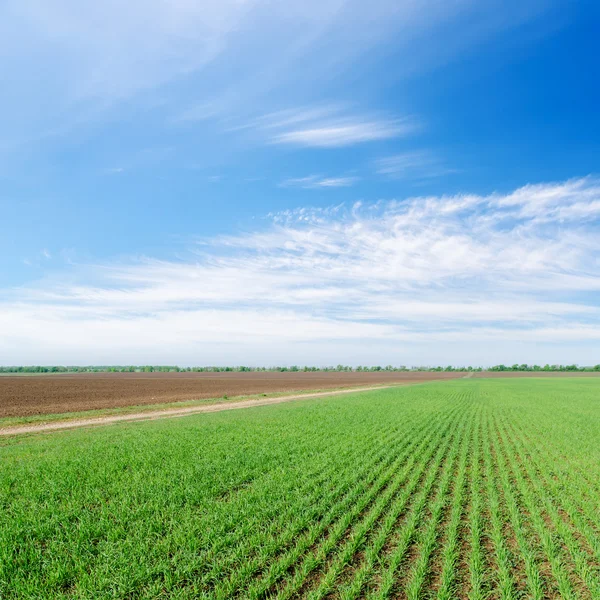 Grünes und schwarzes Feld unter bewölktem Himmel — Stockfoto