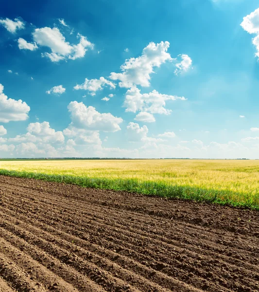 Campi neri e verdi sotto cielo nuvoloso — Foto Stock