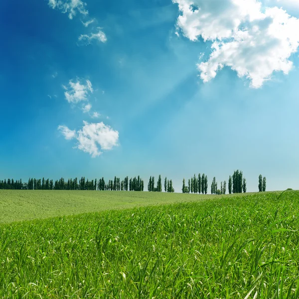曇り空の下で緑の野原 — ストック写真