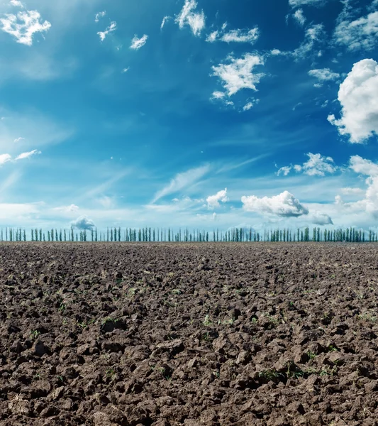 劇的な空の下で耕した畑 — ストック写真