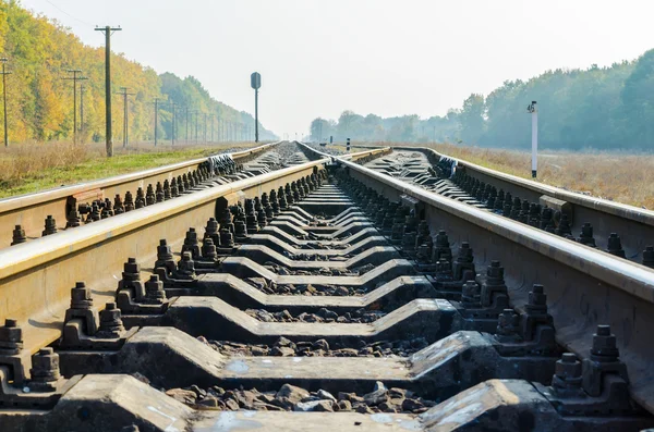 Railway crossing — Stock Photo, Image