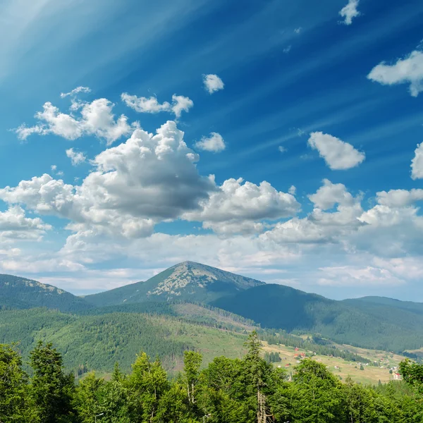 Beau paysage de montagne verdoyant avec des arbres dans les Carpates — Photo
