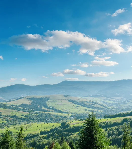 Bellissimo paesaggio di montagna verde con alberi nei Carpazi — Foto Stock