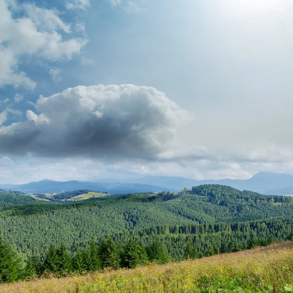 Nubes de luces suaves y verdes montañas. Cárpatos ucranianos — Foto de Stock