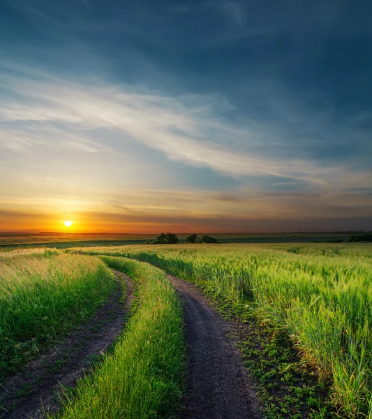 Sunset over rural road near green field — Stock Photo, Image