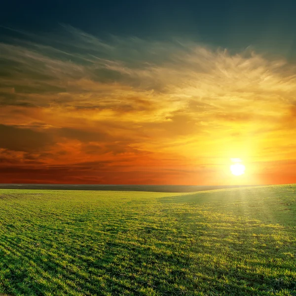 yeşil alan üzerinde güzel günbatımı