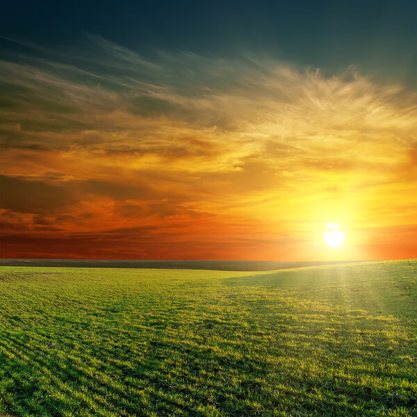 хороший закат над зеленым полем
