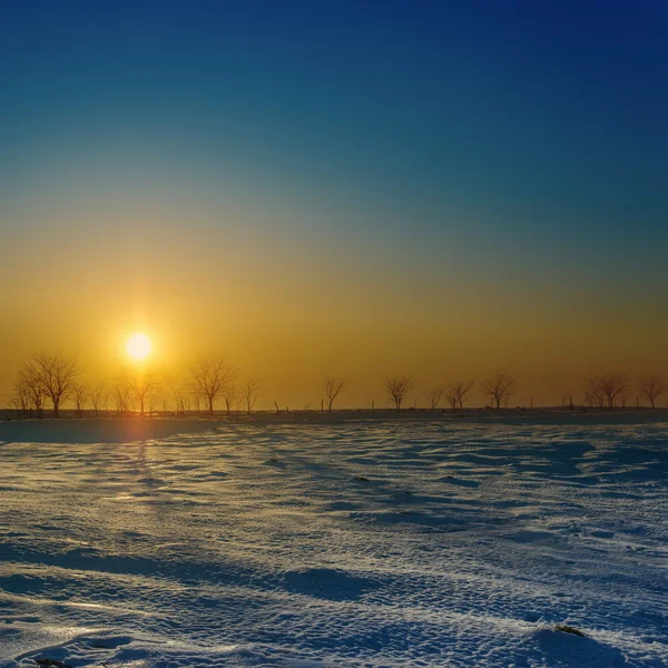 Sonnenuntergang über der Wiese im Winter — Stockfoto