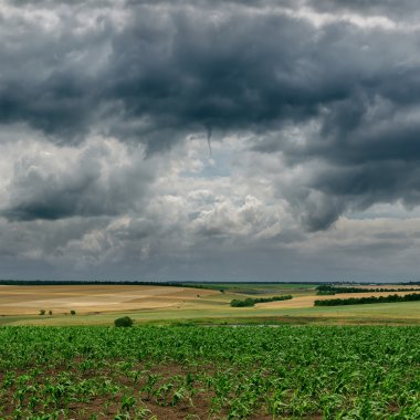 dark cloudy sky and green field