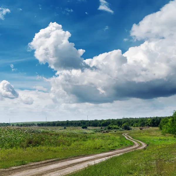 Paisagem verde com estrada e céu azul nublado — Fotografia de Stock