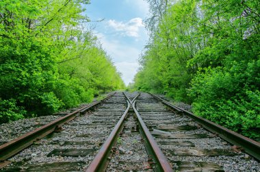 Yeşil ahşap iki demiryolu Geçidi