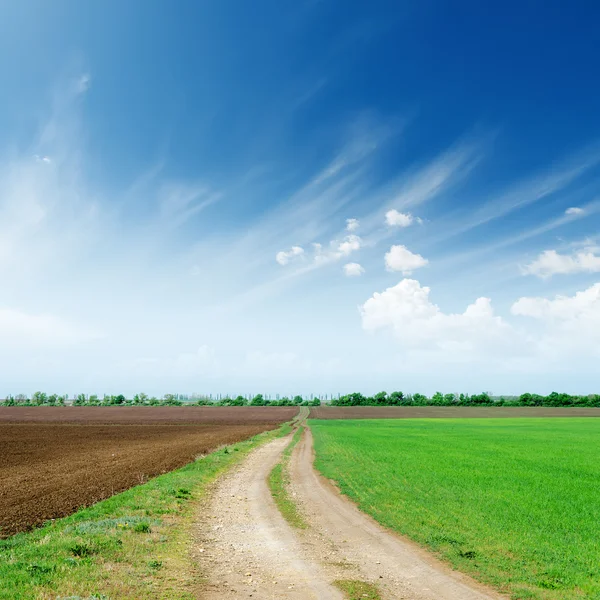 Route rurale dans les champs à l'horizon nuageux — Photo