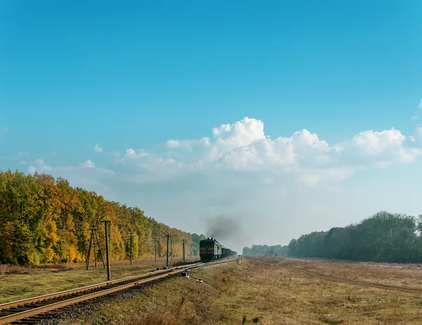 Tren con humo sobre él bajo el cielo nublado — Foto de Stock