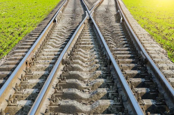 Two railroad to horizon — Stock Photo, Image