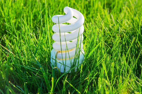 Ampoule d'économie d'énergie blanche dans l'herbe verte — Photo