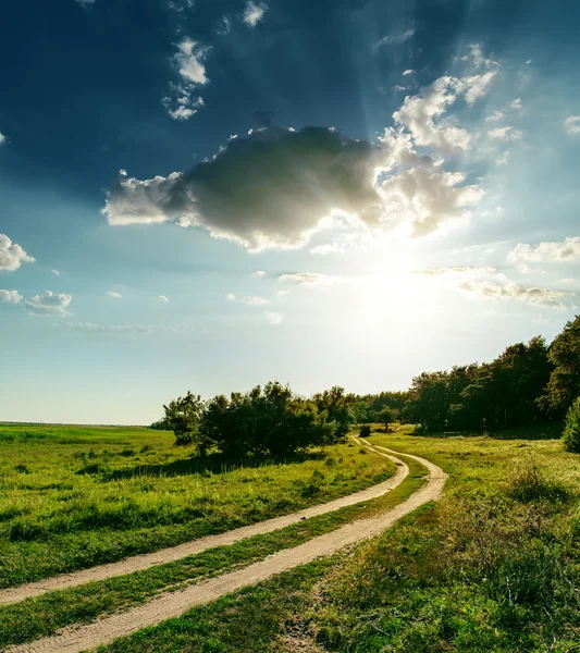 Sunset over road in wood — Stock Photo, Image