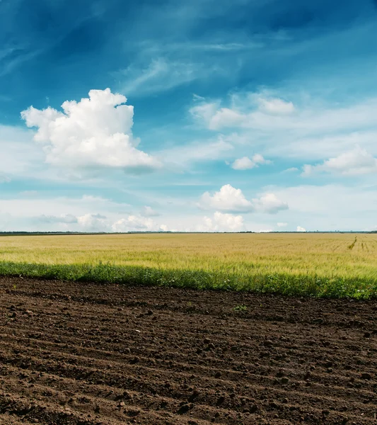Zwarte geploegd en groene velden onder bewolkte hemel — Stockfoto