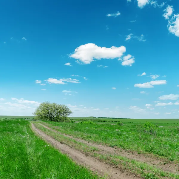 Vuile weg in groene landschap — Stockfoto