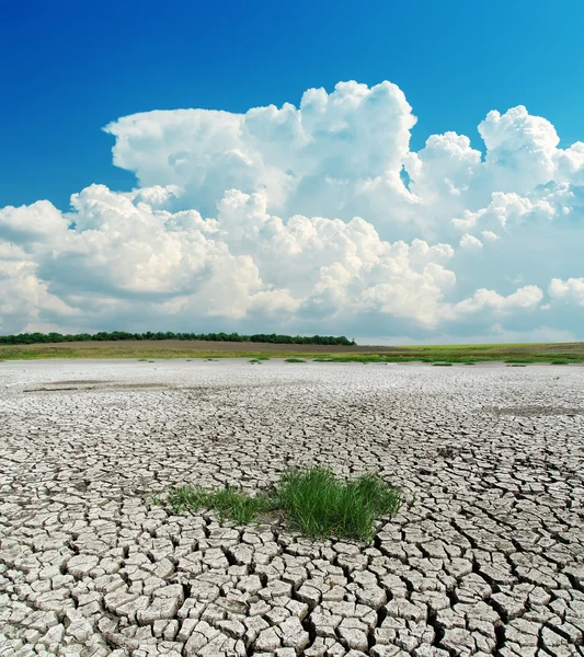 Terra seca com grama verde sob nuvens — Fotografia de Stock