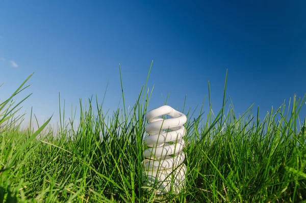 Bombilla de ahorro de energía en hierba verde bajo el cielo azul profundo — Foto de Stock