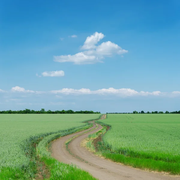 Sinuoso camino sucio en campos verdes y cielo azul —  Fotos de Stock