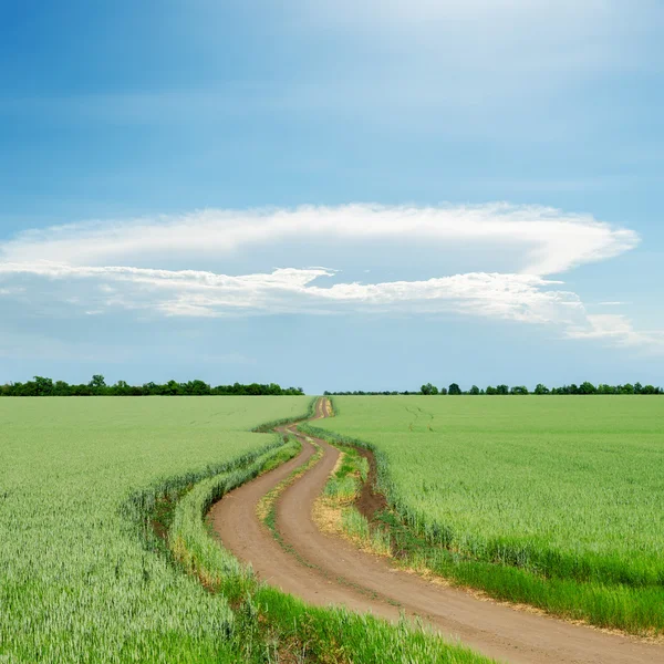 Nube sobre camino sucio en campos verdes — Foto de Stock